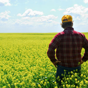 land-loan-lenders-near-me
